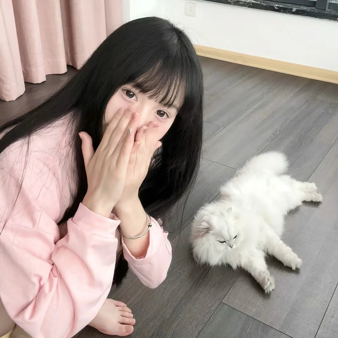 偷天盗日 海报
